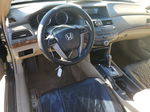 2009 Honda Accord Exl Black vin: 1HGCP26899A030169