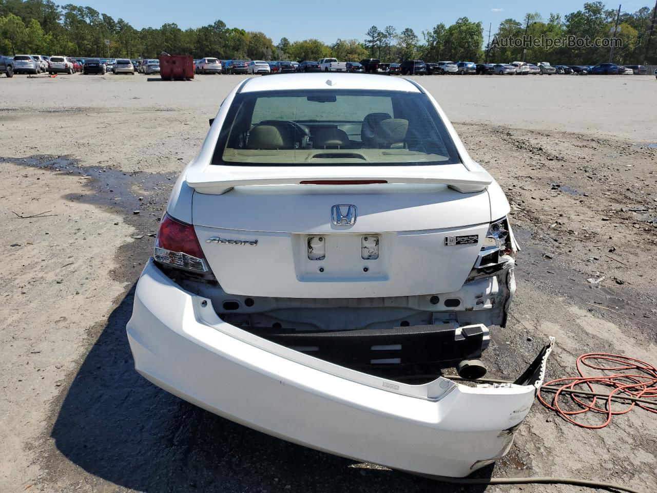 2009 Honda Accord Exl White vin: 1HGCP26899A091392