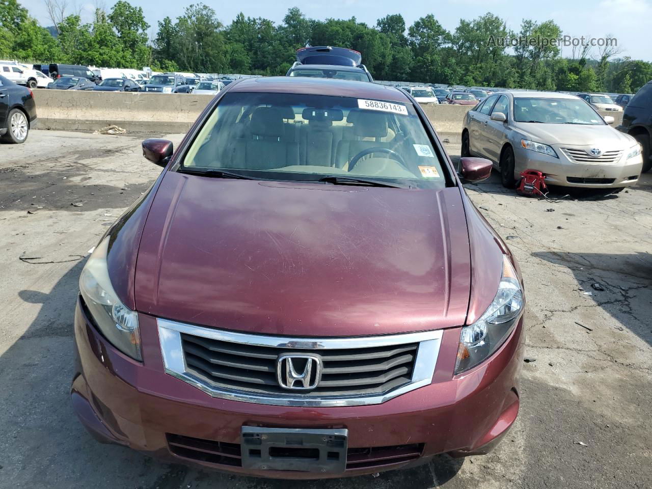 2009 Honda Accord Exl Red vin: 1HGCP26899A099461