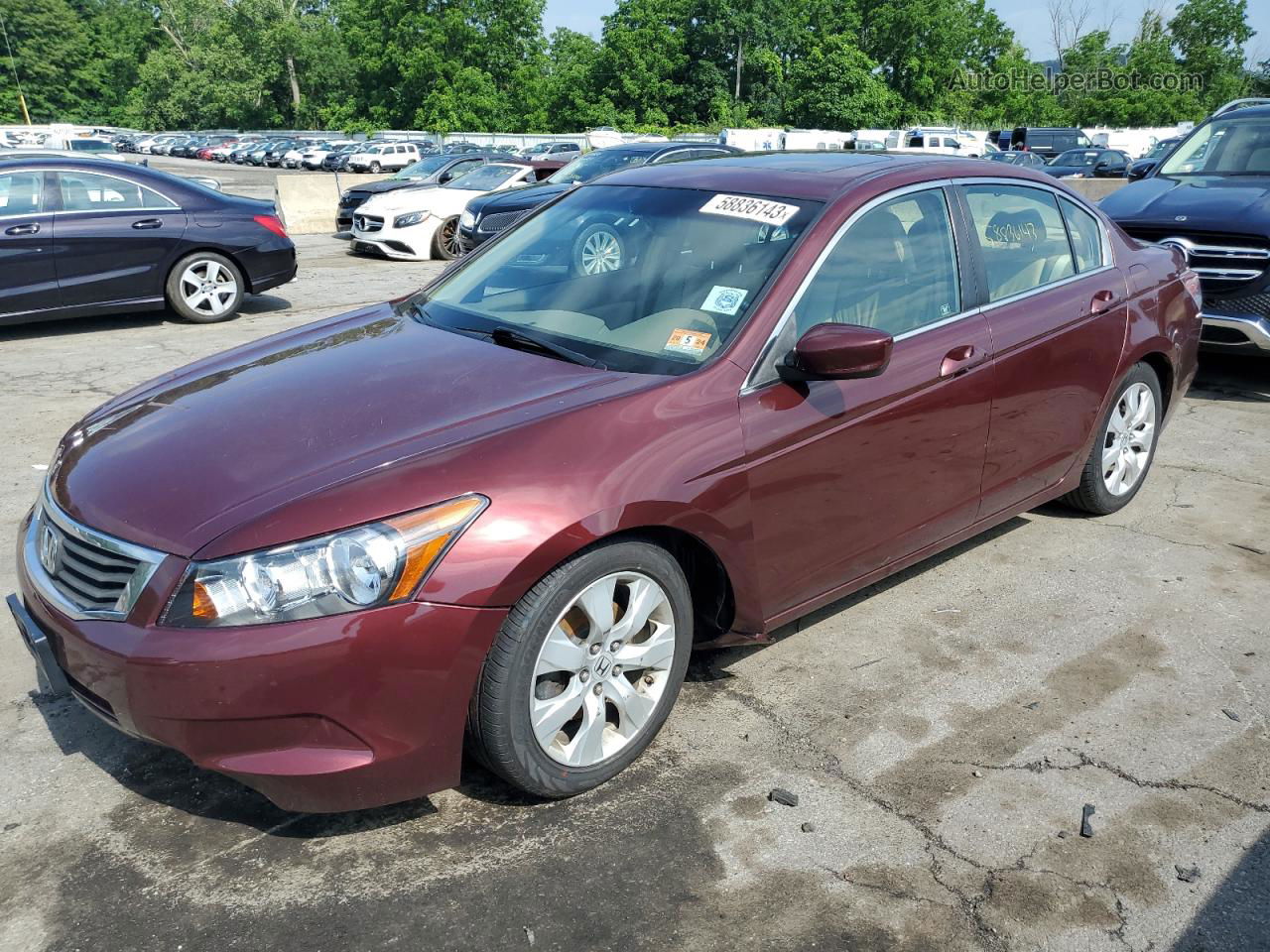 2009 Honda Accord Exl Red vin: 1HGCP26899A099461