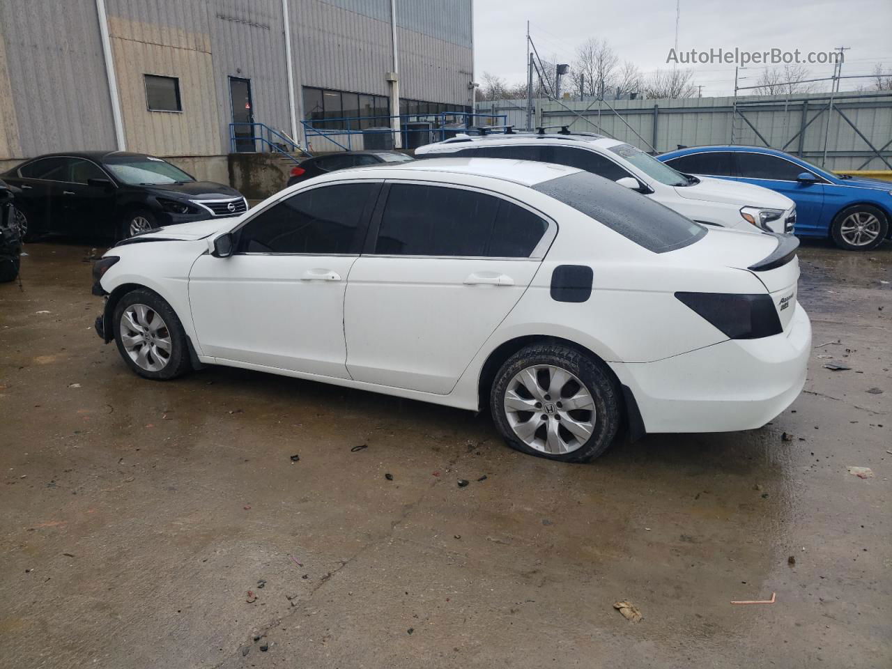 2009 Honda Accord Exl Белый vin: 1HGCP26899A111124