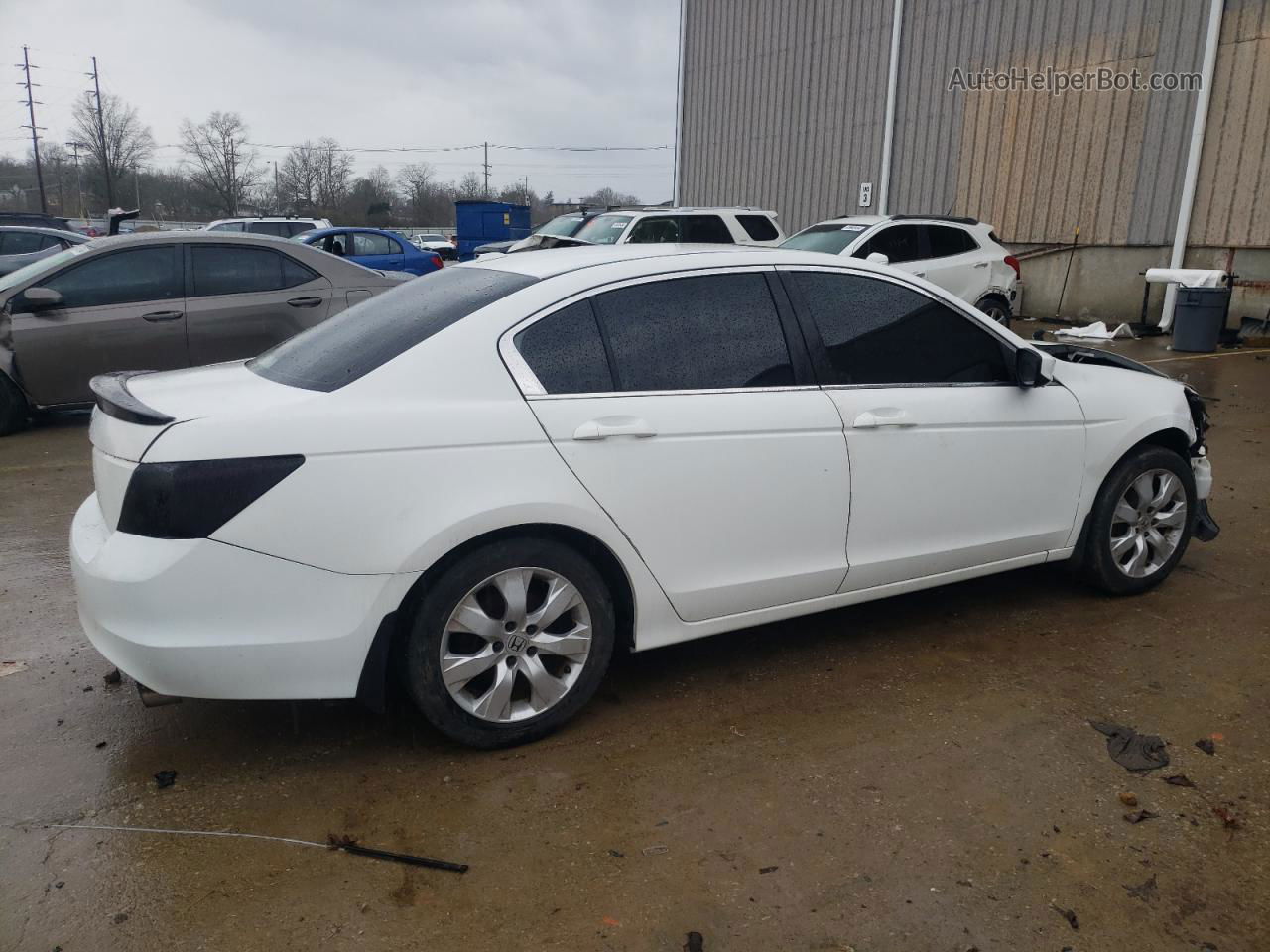 2009 Honda Accord Exl Белый vin: 1HGCP26899A111124