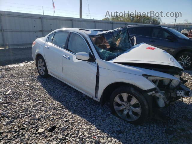 2009 Honda Accord Exl Белый vin: 1HGCP26899A136847