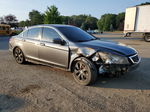 2009 Honda Accord Exl Gray vin: 1HGCP268X9A024574