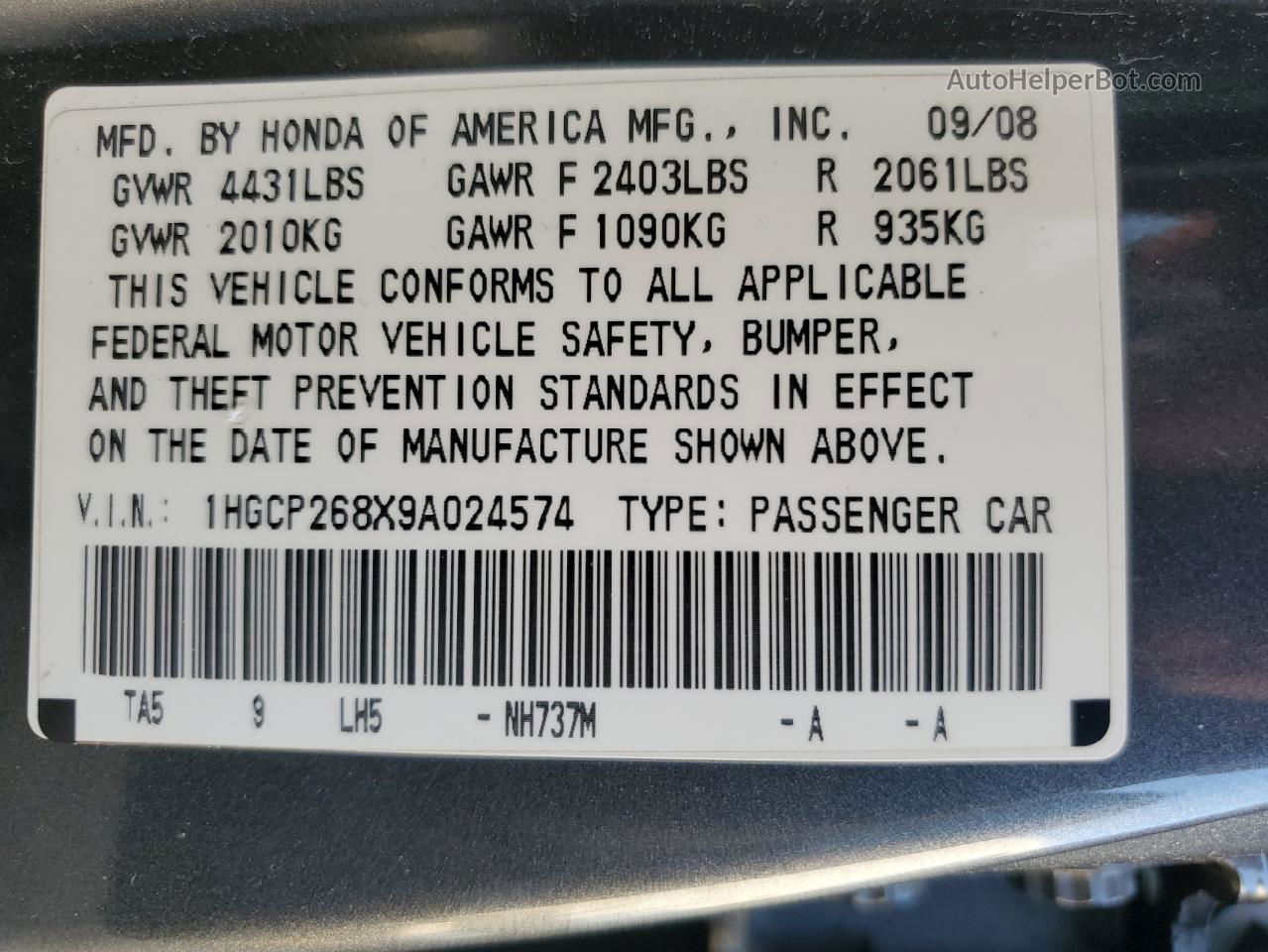 2009 Honda Accord Exl Gray vin: 1HGCP268X9A024574