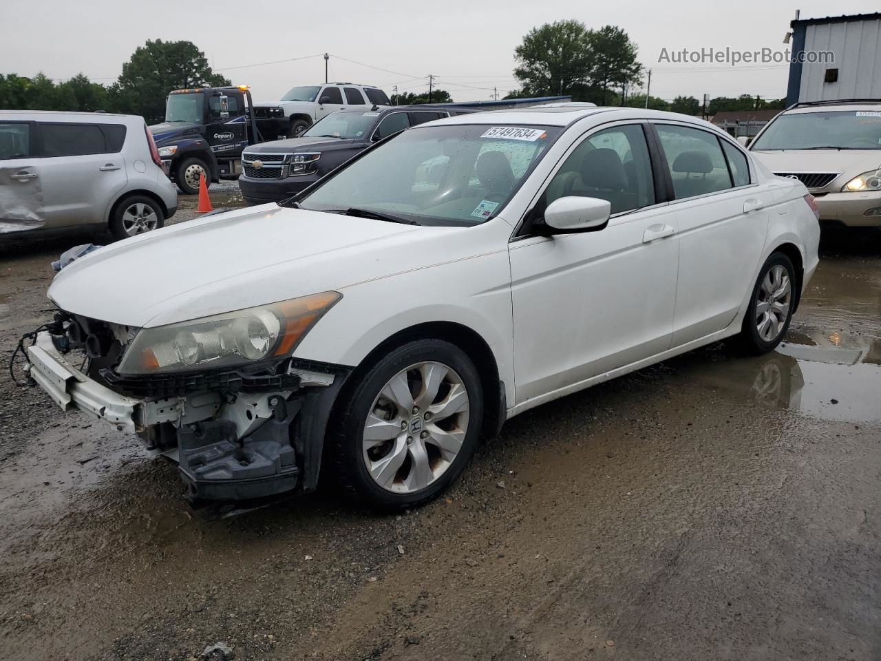 2009 Honda Accord Exl White vin: 1HGCP268X9A044517