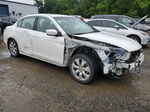 2009 Honda Accord Exl Белый vin: 1HGCP268X9A044517