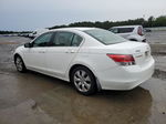 2009 Honda Accord Exl White vin: 1HGCP268X9A044517