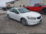 2009 Honda Accord 2.4 Ex-l White vin: 1HGCP268X9A088520