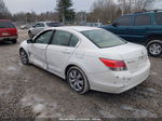 2009 Honda Accord 2.4 Ex-l Белый vin: 1HGCP268X9A088520