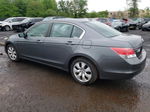 2009 Honda Accord Exl Gray vin: 1HGCP268X9A160607