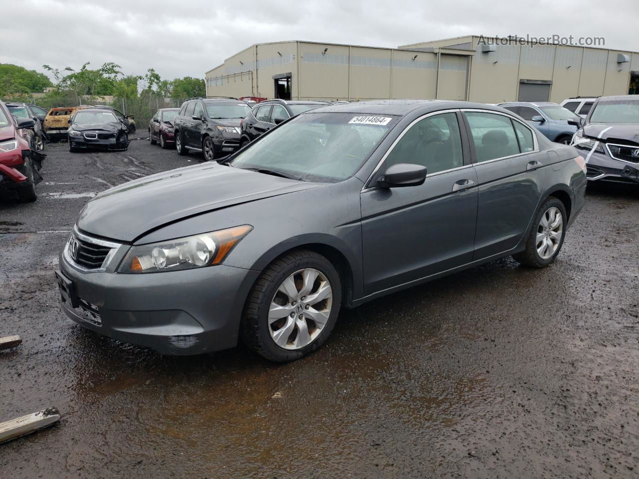 2009 Honda Accord Exl Gray vin: 1HGCP268X9A160607