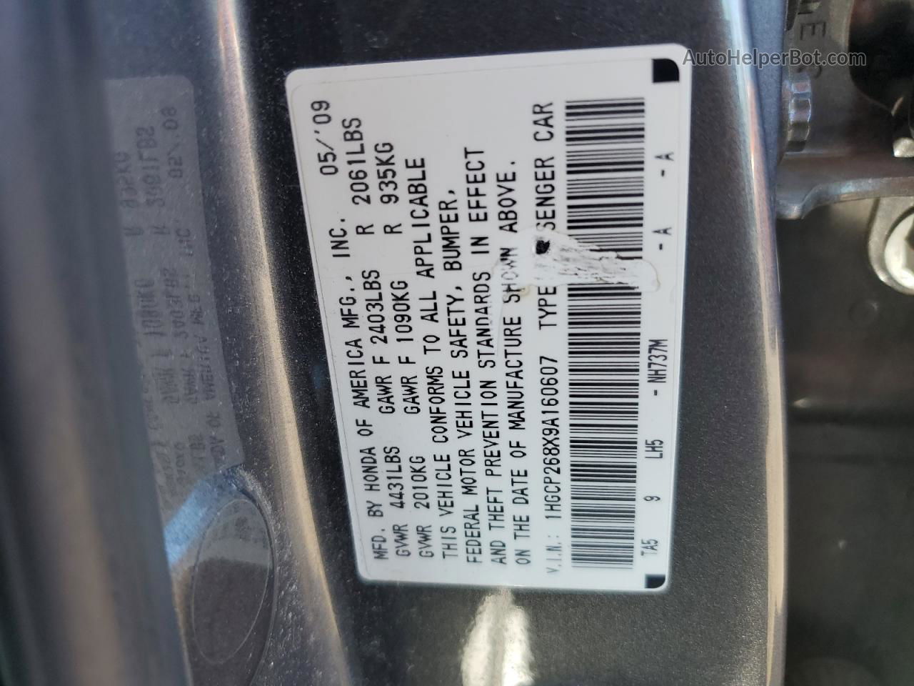 2009 Honda Accord Exl Gray vin: 1HGCP268X9A160607