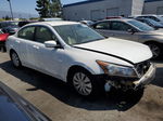 2010 Honda Accord Lx White vin: 1HGCP2F33AA170100