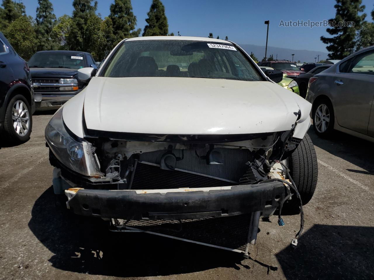 2010 Honda Accord Lx White vin: 1HGCP2F33AA170100