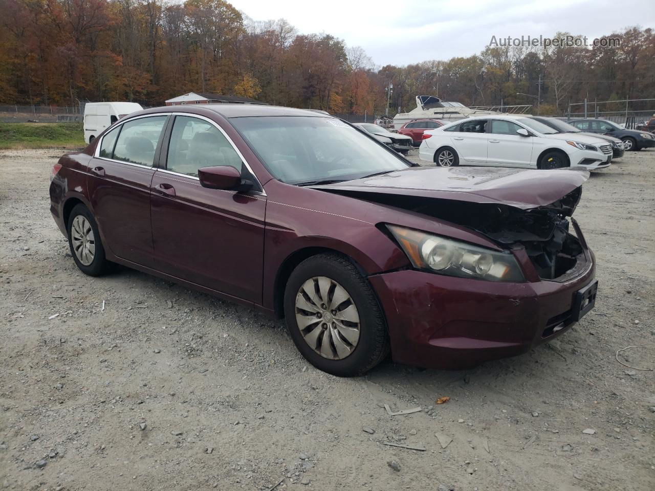 2010 Honda Accord Lx Maroon vin: 1HGCP2F36AA056446