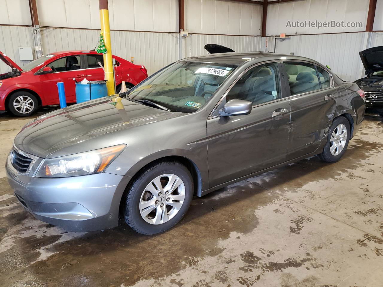 2010 Honda Accord Lxp Gray vin: 1HGCP2F40AA035116