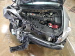2010 Honda Accord Lxp Gray vin: 1HGCP2F40AA093730