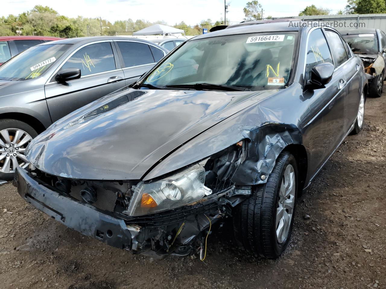 2010 Honda Accord Lxp Серый vin: 1HGCP2F41AA104542