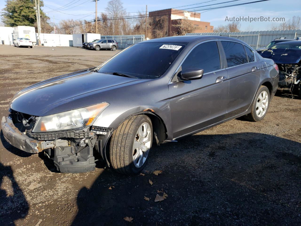 2010 Honda Accord Ex Gray vin: 1HGCP2F76AA163631