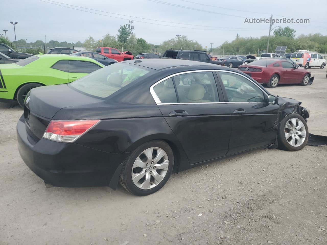 2010 Honda Accord Exl Черный vin: 1HGCP2F82AA040739
