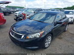 2010 Honda Accord 2.4 Ex-l Black vin: 1HGCP2F83AA000699