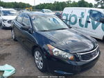 2010 Honda Accord 2.4 Ex-l Black vin: 1HGCP2F83AA000699