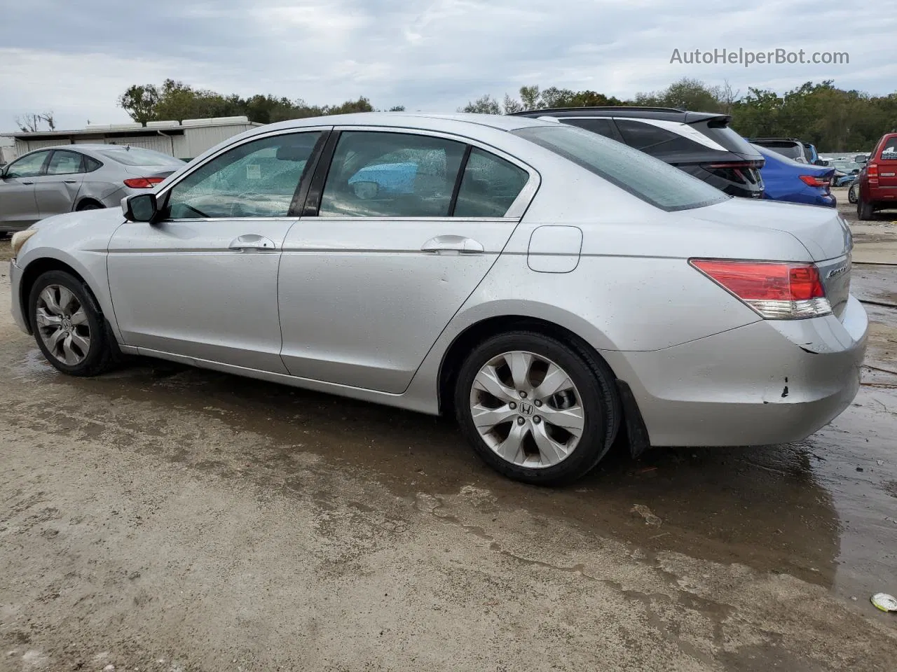 2010 Honda Accord Exl Silver vin: 1HGCP2F85AA119189