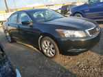 2010 Honda Accord Exl Черный vin: 1HGCP2F88AA111443