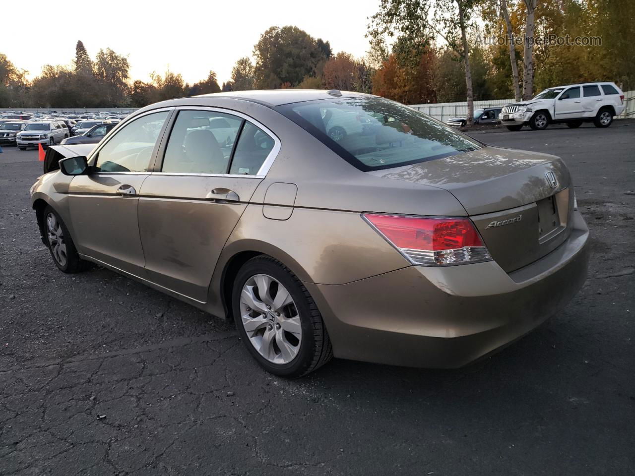 gold 2010 honda accord