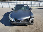 2010 Honda Accord Exl Серый vin: 1HGCP2F89AA087363