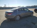 2010 Honda Accord Exl Серый vin: 1HGCP2F89AA087363