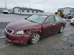 2008 Honda Accord Ex Красный vin: 1HGCP36708A040889