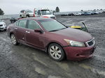 2008 Honda Accord Ex Красный vin: 1HGCP36708A040889