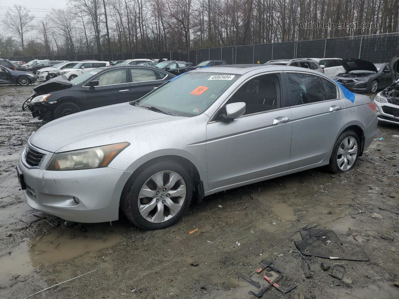 2009 Honda Accord Ex Серебряный vin: 1HGCP36709A031174