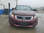 2008 Honda Accord Ex Бордовый vin: 1HGCP36758A077453