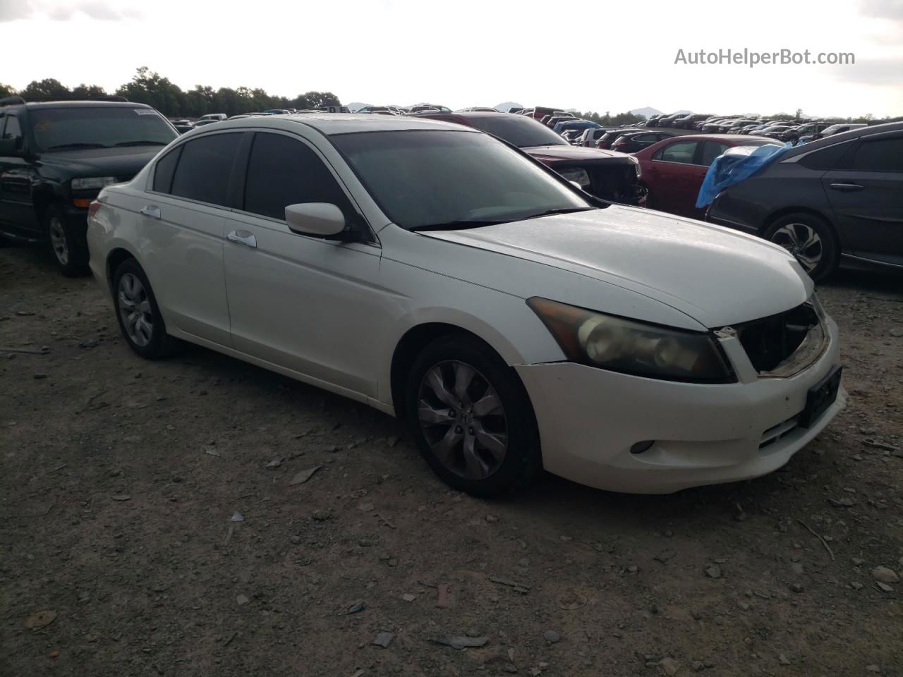 2008 Honda Accord Ex White vin: 1HGCP36788A048545