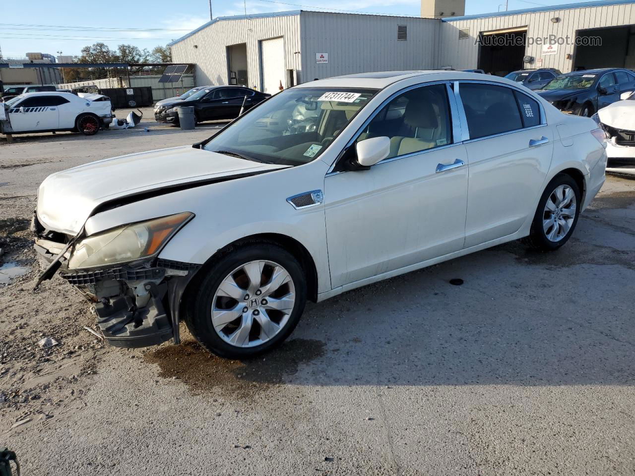 2008 Honda Accord Ex White vin: 1HGCP36788A080718