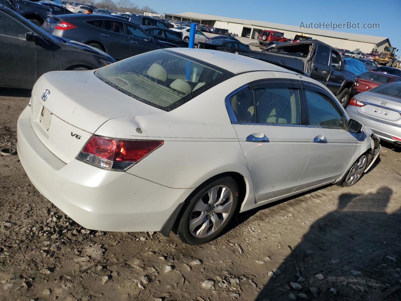 2009 Honda Accord Ex Белый vin: 1HGCP36799A025597