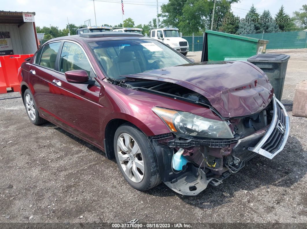 2008 Honda Accord Sdn Ex-l Red vin: 1HGCP36808A022692