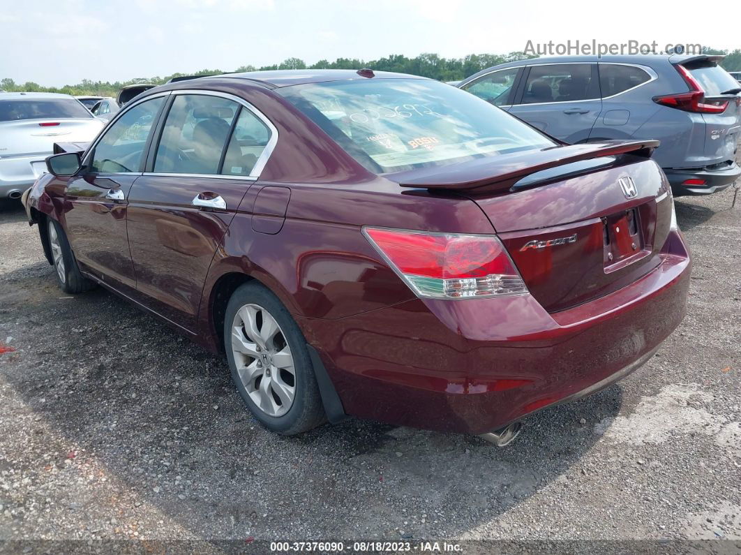 2008 Honda Accord Sdn Ex-l Red vin: 1HGCP36808A022692