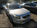 2008 Honda Accord 3.5 Ex-l Серебряный vin: 1HGCP36808A034647