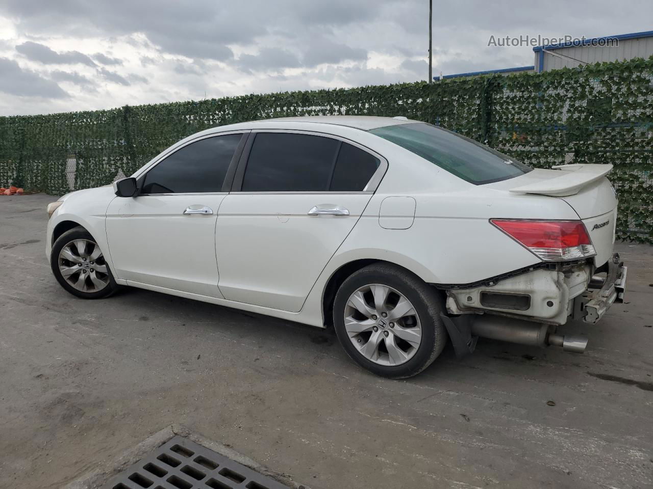 2008 Honda Accord Exl White vin: 1HGCP36808A047964