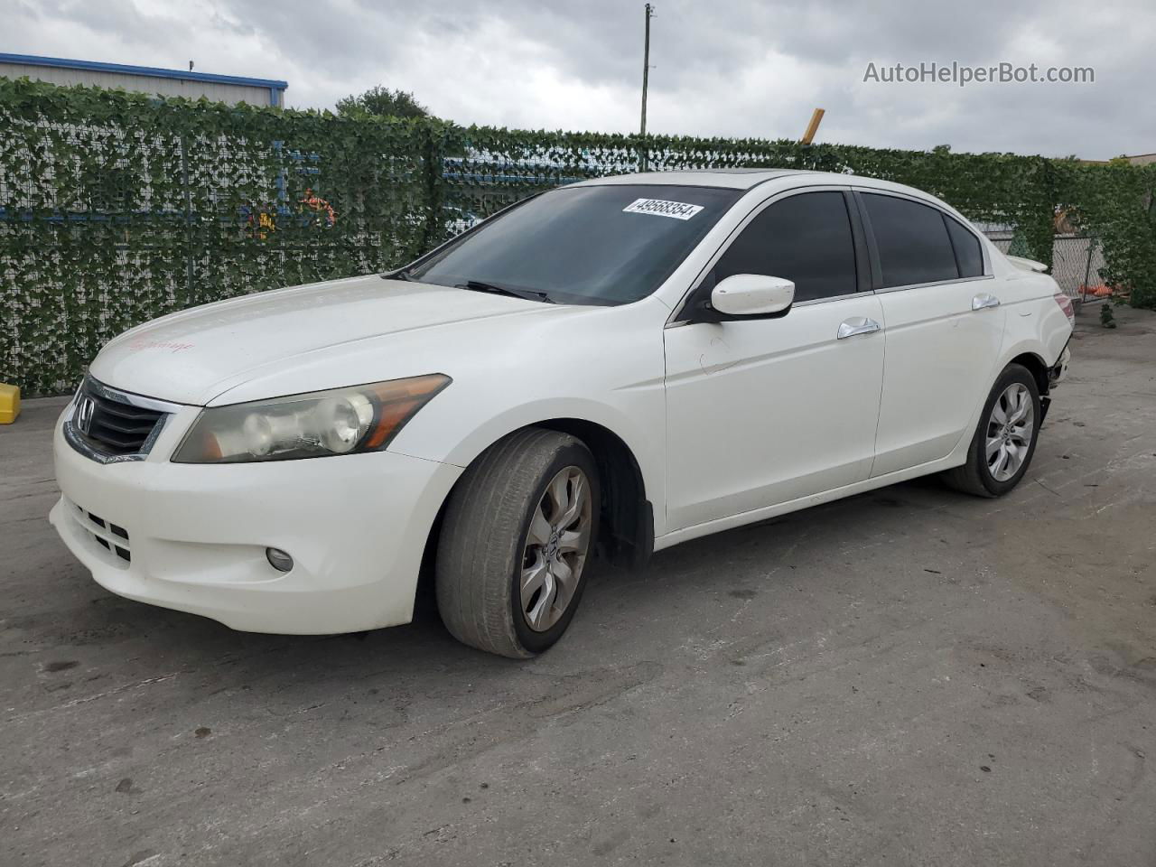 2008 Honda Accord Exl White vin: 1HGCP36808A047964