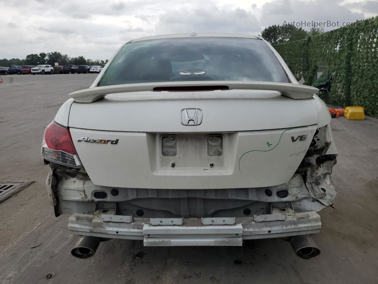 2008 Honda Accord Exl Белый vin: 1HGCP36808A047964