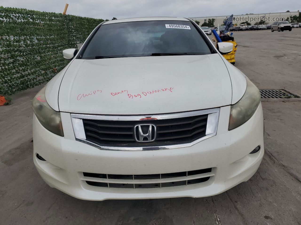 2008 Honda Accord Exl White vin: 1HGCP36808A047964