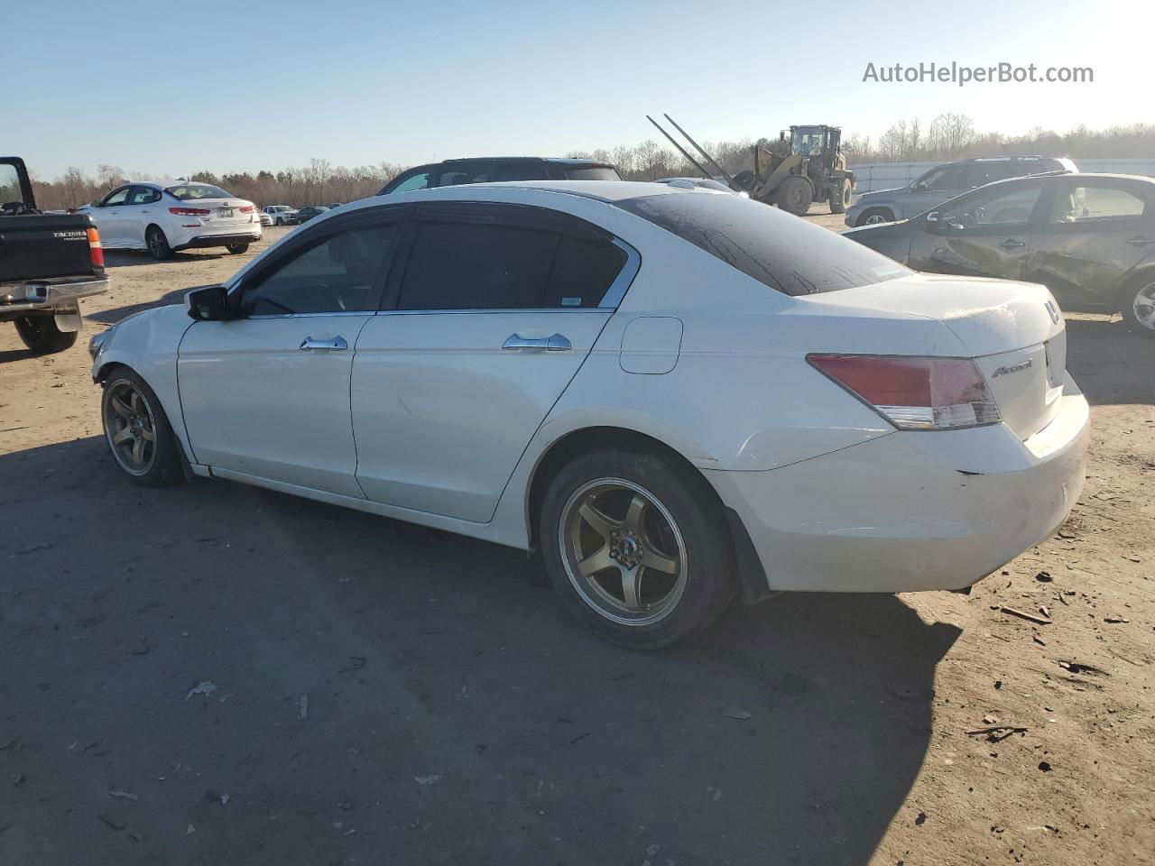 2008 Honda Accord Exl White vin: 1HGCP36808A085193