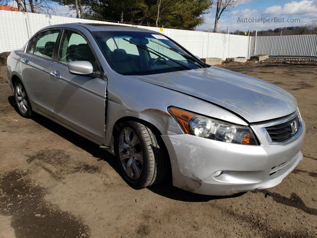 2009 Honda Accord Exl Silver vin: 1HGCP36809A015050