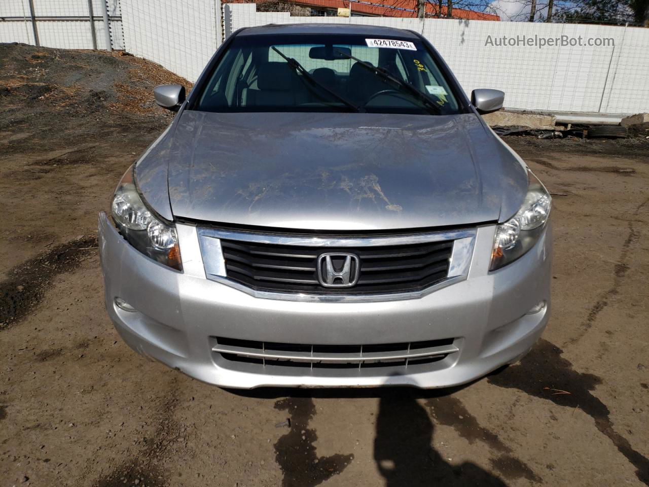 2009 Honda Accord Exl Silver vin: 1HGCP36809A015050