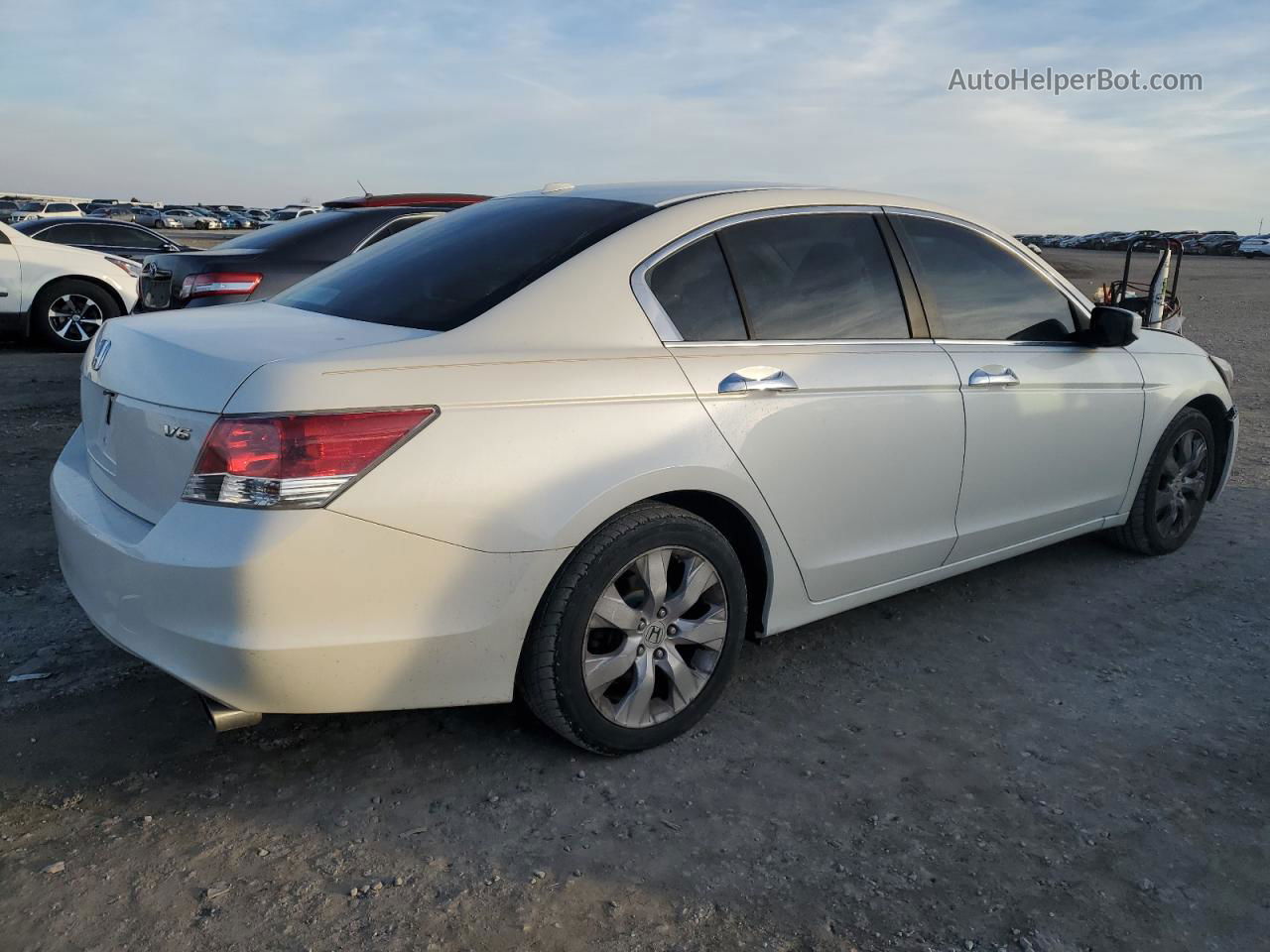 2009 Honda Accord Exl White vin: 1HGCP36809A017400